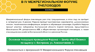 Форум пчеловодов